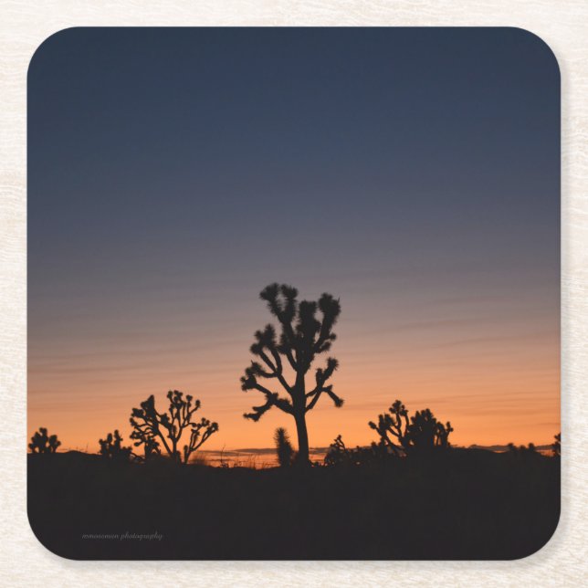 Sunset Joshua Trees Square Paper Coaster (Front)