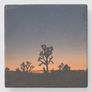 Sunset Joshua Trees Stone Coaster