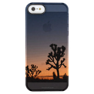 Sunset Joshua Trees Clear iPhone SE/5/5s Case