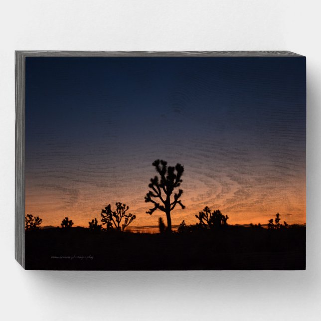 Sunset Joshua Trees Wooden Box Sign (Front Horizontal)