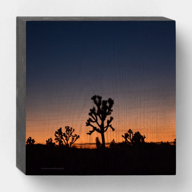 Sunset Joshua Trees Wooden Box Sign (Front Horizontal)