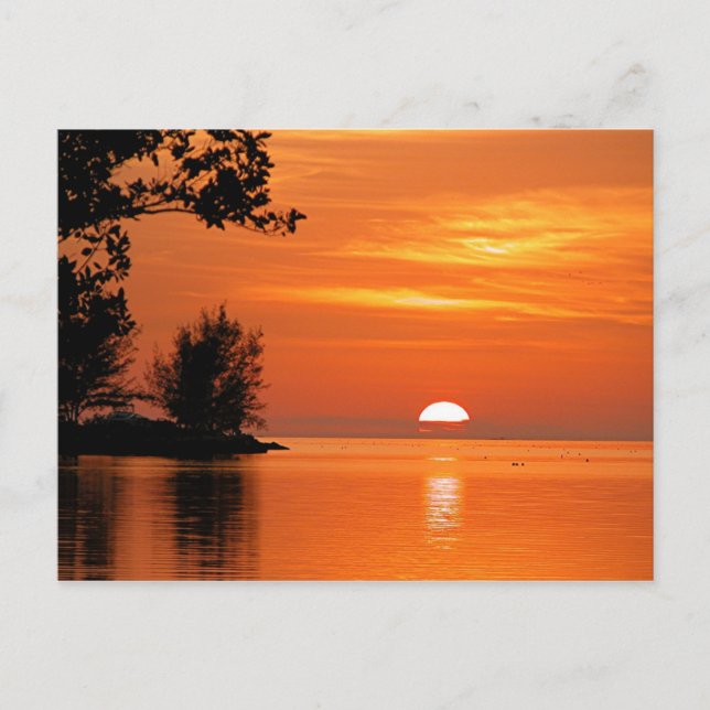Sunset, Key West, Florida Postcard (Front)