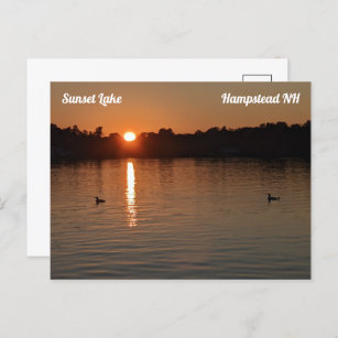 Sunset Lake Loons at Sunset Postcard