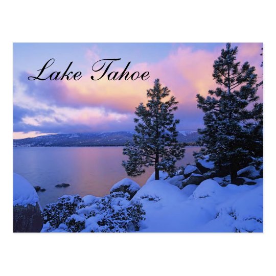 Sunset Lake Tahoe Nevada Postcard