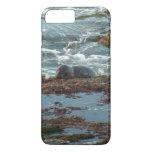 Sunset Lit Harbor Seal I at San Diego iPhone 8 Plus/7 Plus Case