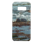 Sunset Lit Harbor Seal I at San Diego Case-Mate Samsung Galaxy S8 Case