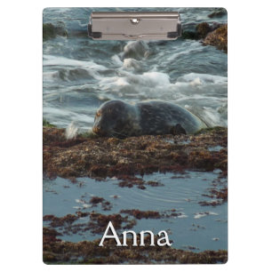 Sunset Lit Harbor Seal I at San Diego Clipboard