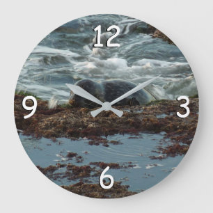 Sunset Lit Harbor Seal I at San Diego Large Clock