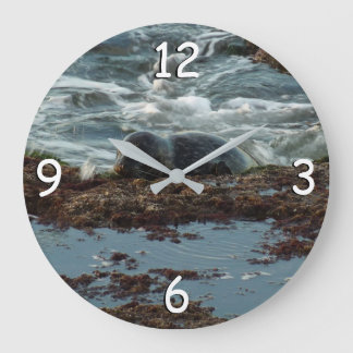 Sunset Lit Harbor Seal I at San Diego Large Clock