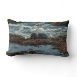 Sunset Lit Harbor Seal I at San Diego Lumbar Pillow