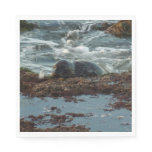 Sunset Lit Harbor Seal I at San Diego Paper Napkins