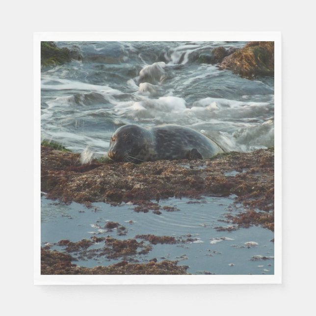 Sunset Lit Harbor Seal I at San Diego Paper Napkins (Front)