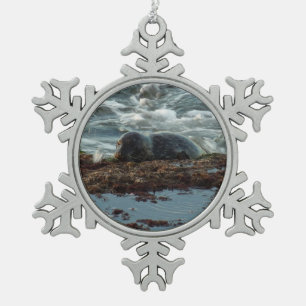 Sunset Lit Harbor Seal I at San Diego Snowflake Pewter Christmas Ornament