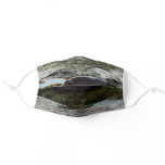 Sunset Lit Harbor Seal II at San Diego Adult Cloth Face Mask
