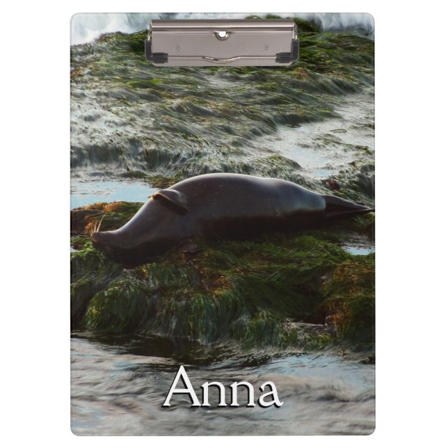 Sunset Lit Harbor Seal II at San Diego Clipboard (Front)