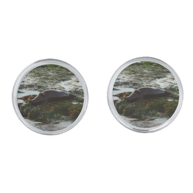 Sunset Lit Harbor Seal II at San Diego Cufflinks (Front)