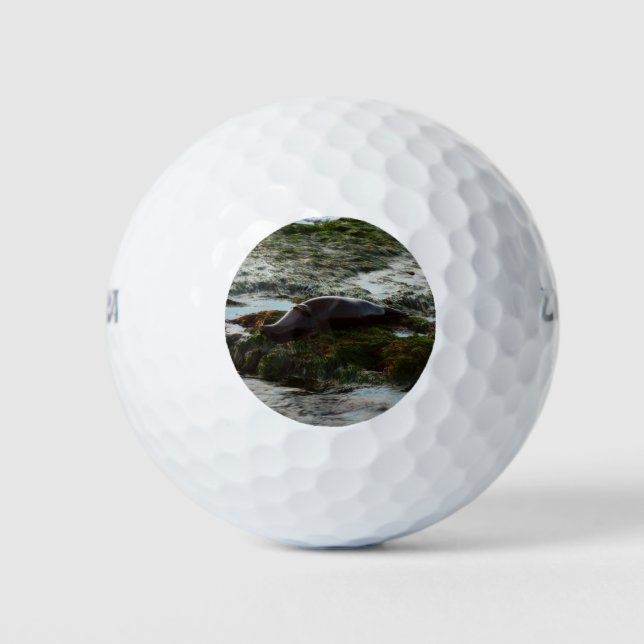 Sunset Lit Harbor Seal II at San Diego Golf Balls (Front)