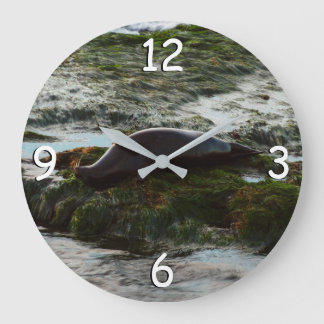 Sunset Lit Harbor Seal II at San Diego Large Clock