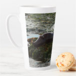 Sunset Lit Harbor Seal II at San Diego Latte Mug