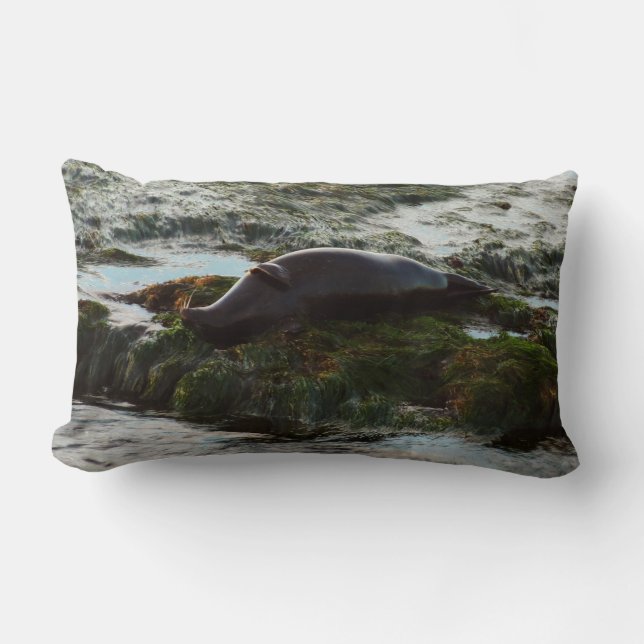 Sunset Lit Harbor Seal II at San Diego Lumbar Pillow (Front)