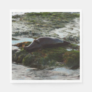 Sunset Lit Harbor Seal II at San Diego Napkins