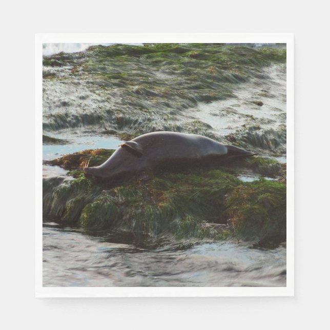 Sunset Lit Harbor Seal II at San Diego Napkins (Front)