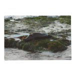 Sunset Lit Harbor Seal II at San Diego Placemat
