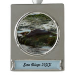 Sunset Lit Harbor Seal II at San Diego Silver Plated Banner Ornament