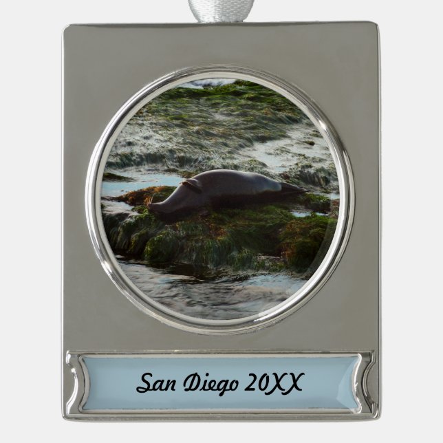 Sunset Lit Harbor Seal II at San Diego Silver Plated Banner Ornament (Front)