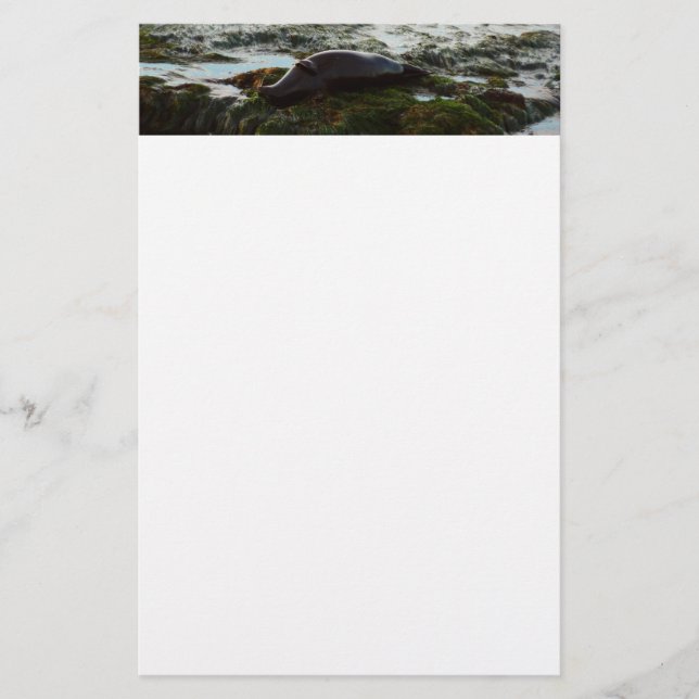 Sunset Lit Harbor Seal II at San Diego Stationery (Front)