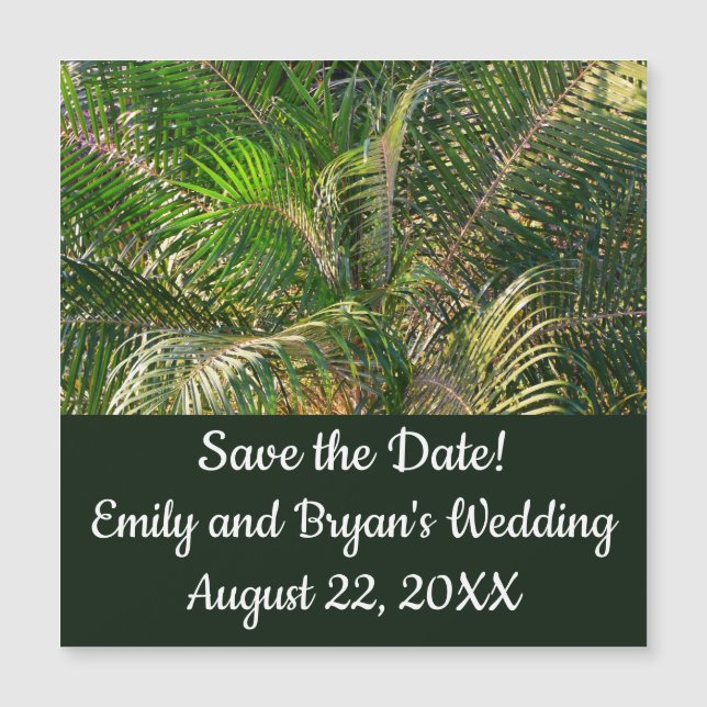 Sunset Lit Palm Fronds Tropical (Front)