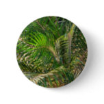 Sunset Lit Palm Fronds Tropical Button