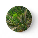 Sunset Lit Palm Fronds Tropical Button