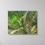 Sunset Lit Palm Fronds Tropical Canvas Print