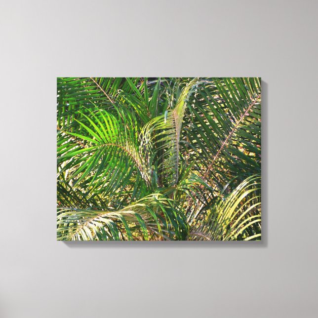 Sunset Lit Palm Fronds Tropical Canvas Print (Front)