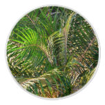 Sunset Lit Palm Fronds Tropical Ceramic Knob