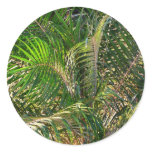 Sunset Lit Palm Fronds Tropical Classic Round Sticker