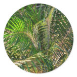 Sunset Lit Palm Fronds Tropical Classic Round Sticker