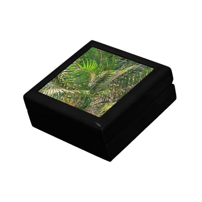 Sunset Lit Palm Fronds Tropical Gift Box (Side)