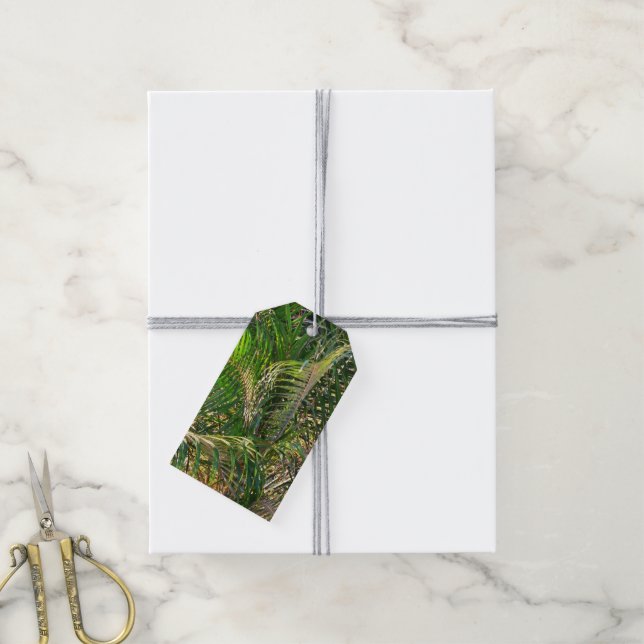 Sunset Lit Palm Fronds Tropical Gift Tags (With Twine)