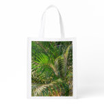 Sunset Lit Palm Fronds Tropical Grocery Bag