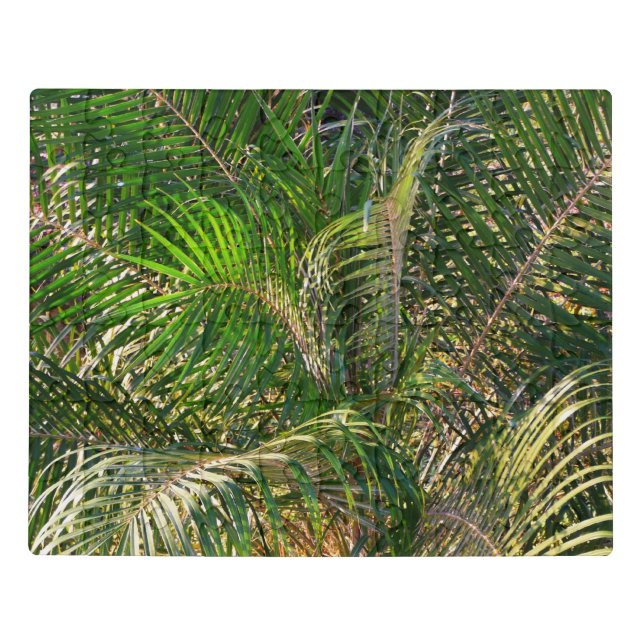 Sunset Lit Palm Fronds Tropical Jigsaw Puzzle (Puzzle Horizontal)