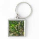 Sunset Lit Palm Fronds Tropical Keychain