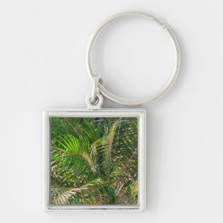 Sunset Lit Palm Fronds Tropical Keychain