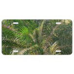 Sunset Lit Palm Fronds Tropical License Plate
