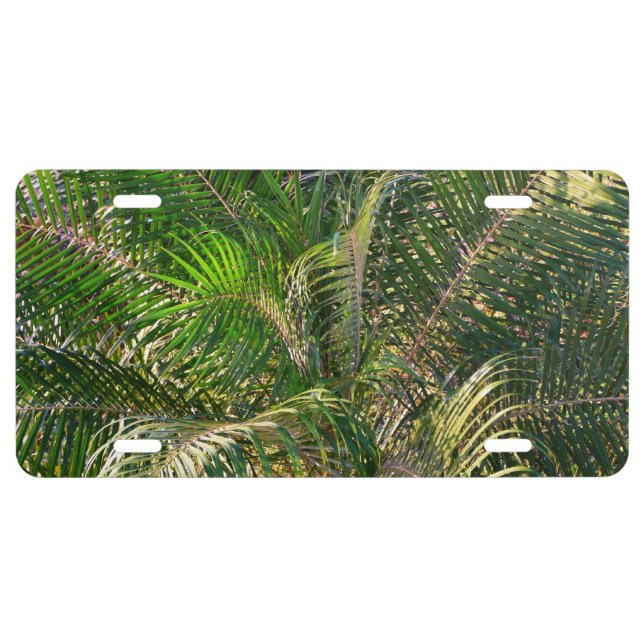 Sunset Lit Palm Fronds Tropical License Plate (Front)