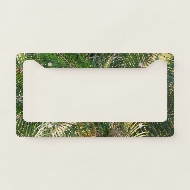 Sunset Lit Palm Fronds Tropical License Plate Frame (Front)