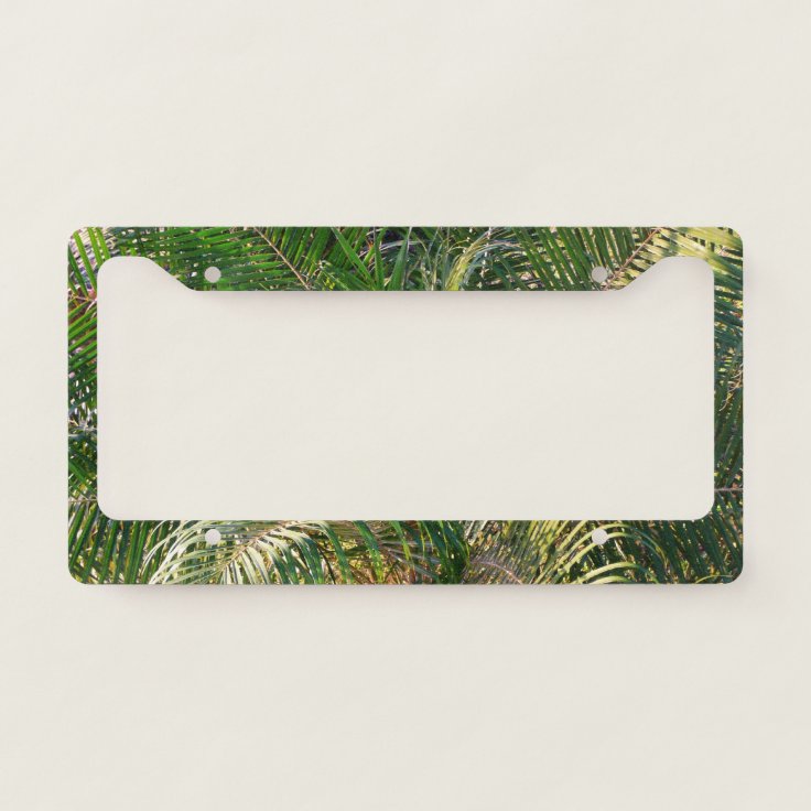 Sunset Lit Palm Fronds Tropical License Plate Frame | Zazzle