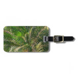 Sunset Lit Palm Fronds Tropical Luggage Tag