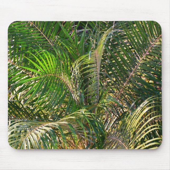 Sunset Lit Palm Fronds Tropical Mouse Pad (Front)